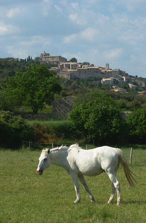 Bed and Breakfast La Fontaine Simiane-la-Rotonde Exterior foto